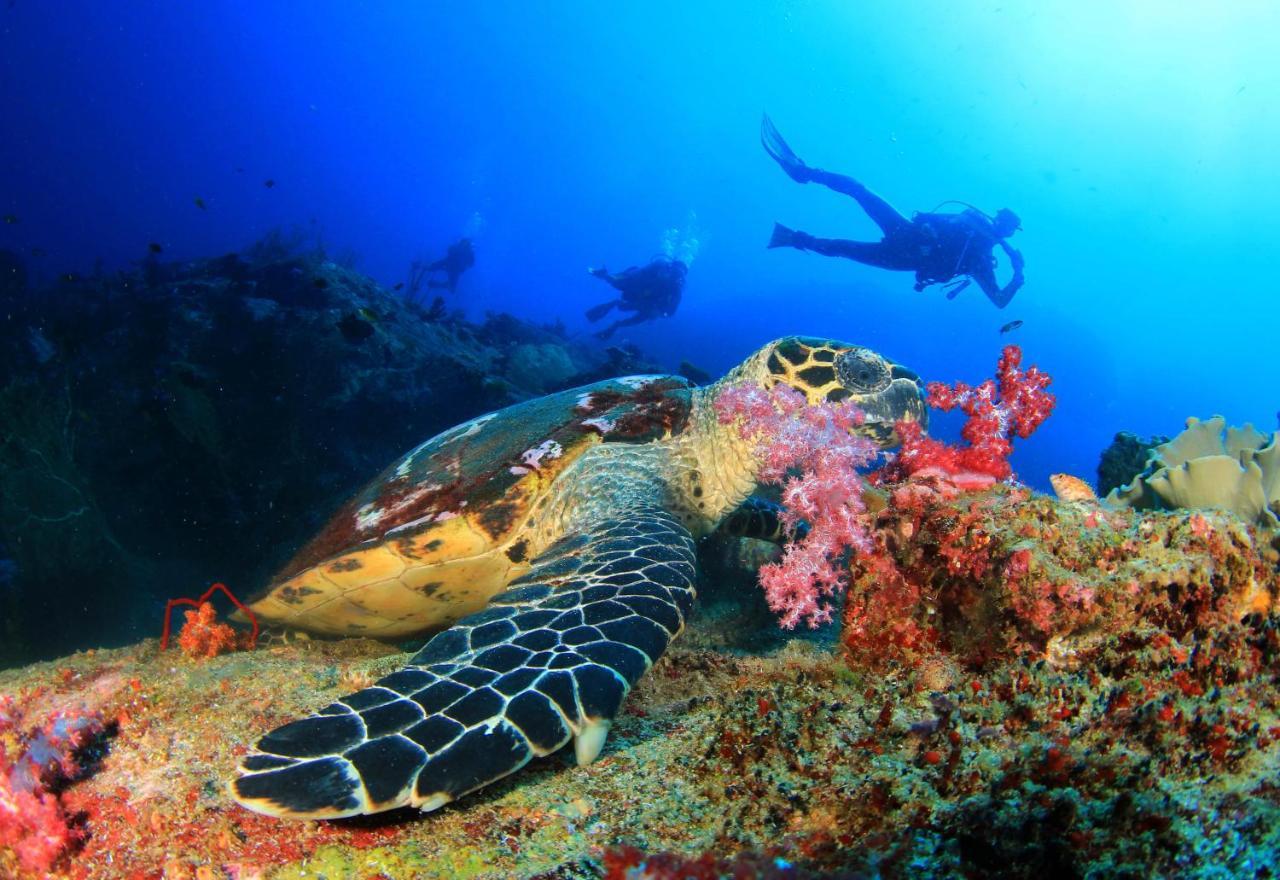 Ayana Komodo Waecicu Beach Labuan Bajo Dış mekan fotoğraf